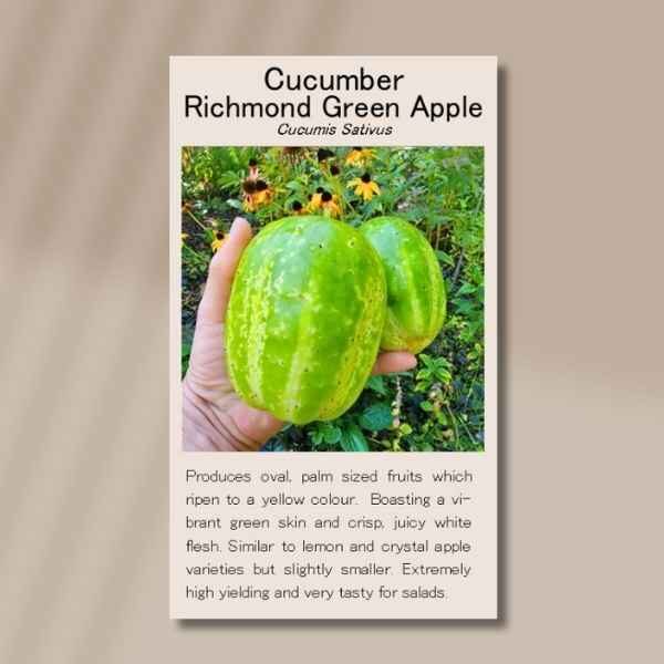 cucumber-richmond-green-apple-front front of seed packet for richmond green apple cucumber