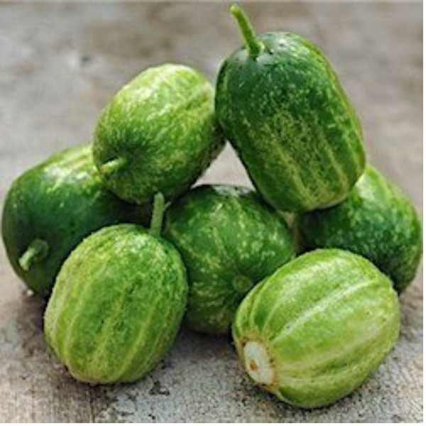 cucumber-richmond-green-apple-seeds