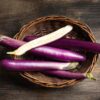 eggplant-ping-tung-long-2