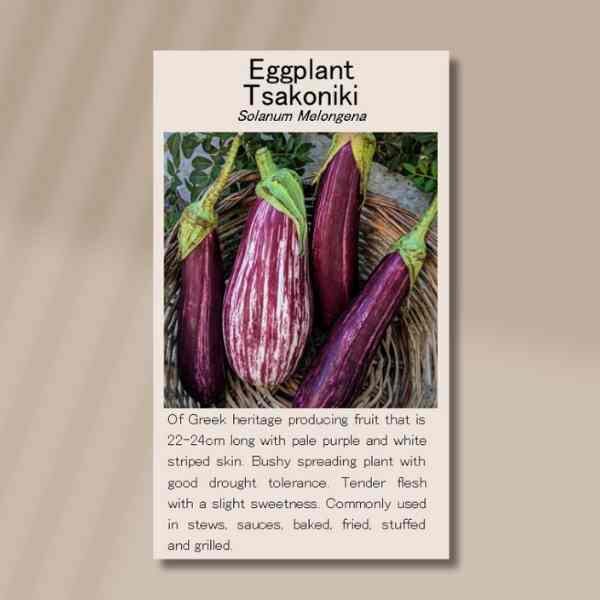 eggplant-seeds-front eggplant-seeds-front