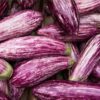 eggplant-tsakoniki-seeds-3