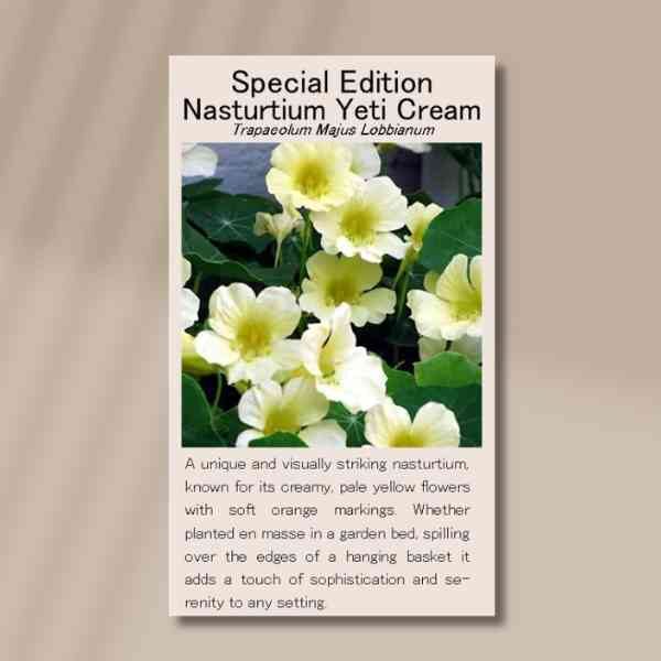 nasturtium-yeti-cream-front Nasturtium yeti cream front