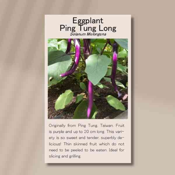 ping-tung-long ping-tung-long