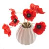 poppy-flanders-seeds-2