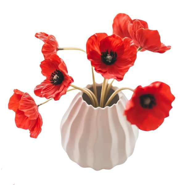 poppy-flanders-seeds-2 poppy-flanders-seeds-2