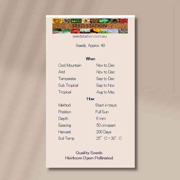 rosella-back rosella-back