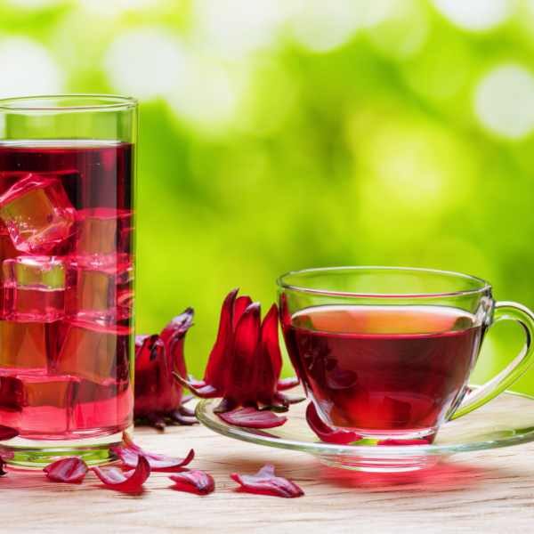 rosella-seed-2 rosella-seed-2