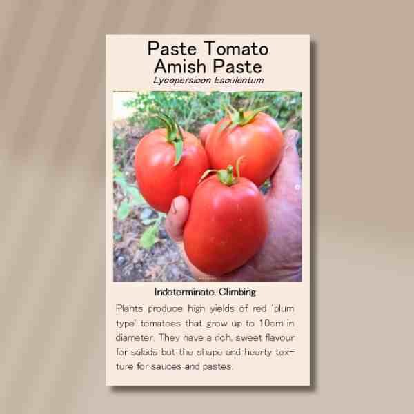 amish-paste-front amish-paste-front