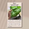 basil-lettuce-front-1