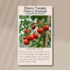 cherry-tomato-cocktail-seeds-front