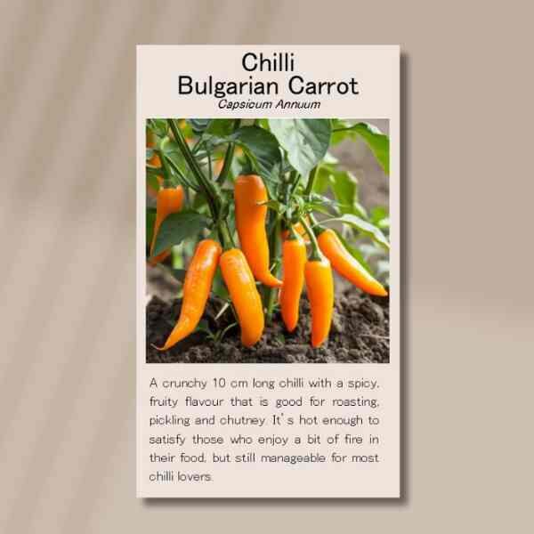 chilli-bulgarian-carrot-seeds-back chilli-bulgarian-carrot-seeds-back