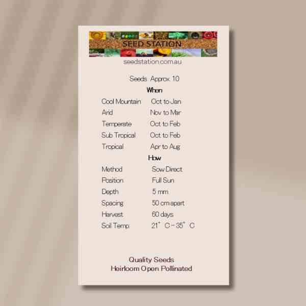 cocozell-di-tripoli-seeds-back cocozell-di-tripoli-seeds-back