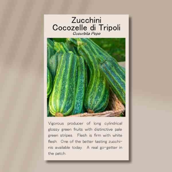 cocozell-di-tripoli-seeds-front cocozell-di-tripoli-seeds-front