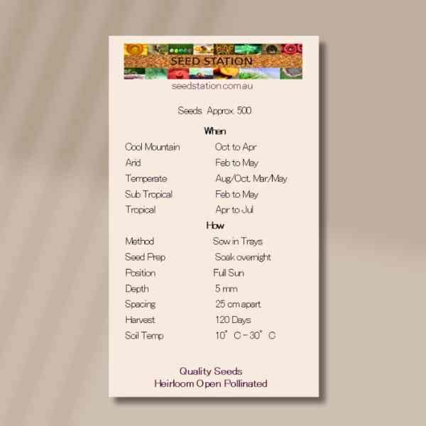 curly-parsley-black curly-parsley-black