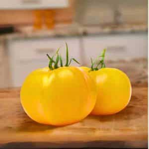 Tomato Jubilee Yellow