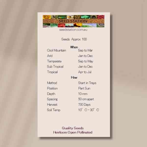 herb-marsh-mallow-back herb-marsh-mallow-back