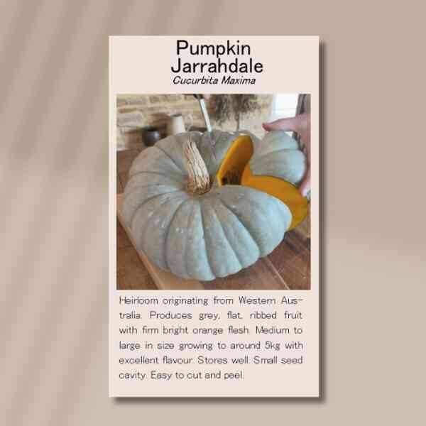 jarrahdale-pumpkin-front Jarrahdale pumpkin front 1