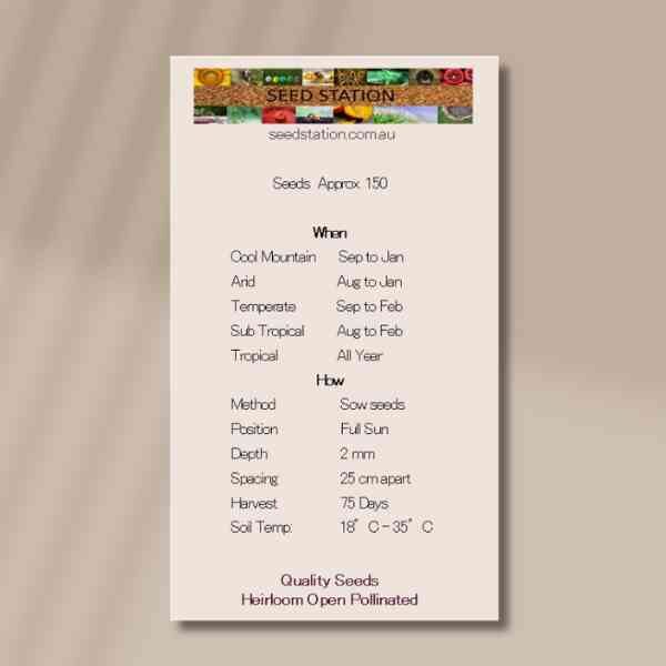 lemon-basil-back lemon-basil-back