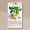lemon-basil-front