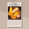 Pumpkin waltham butternut front