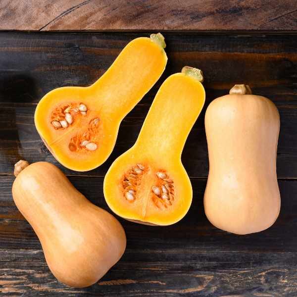 pumpkin-waltham-butternut-seeds