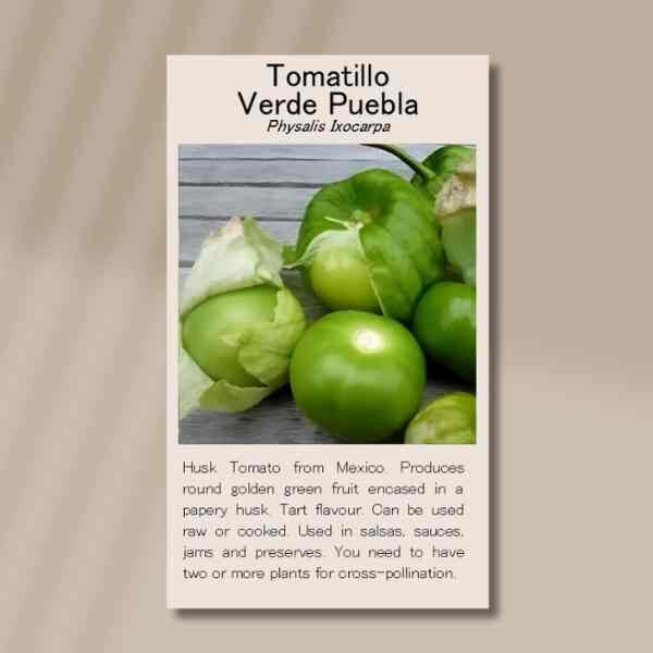 tomatillo-front tomatillo-front
