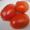 tomato-amish-paste-seeds-2