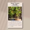 tomato-arcadia-front