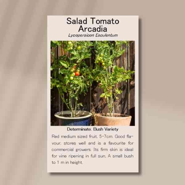 tomato-arcadia-front tomato-arcadia-front