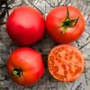 tomato-burnley-gem-seeds-5