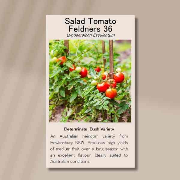 tomato-feldners-36-seeds-front tomato-feldners-36-seeds-front