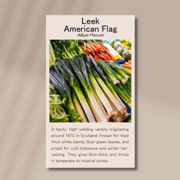 american-flag-front american-flag-front