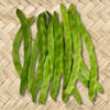 bean-giant-of-stuttgart-seeds-4