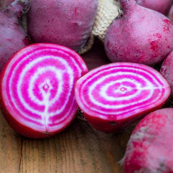 beetroot chioggia cut in half sitting on a chopping board