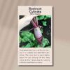 beetroot-cylindra-back