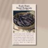 Bush bean royal burgundy front