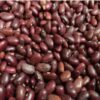 Bush bean windsor long pod 4