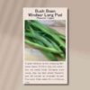 Bush bean windsor long pod front