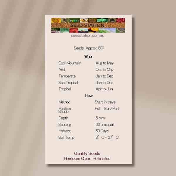 great-lakes-front great-lakes-front