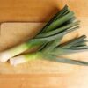 leek-carantan-seeds-2