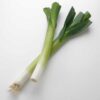 leek-carenten-seeds