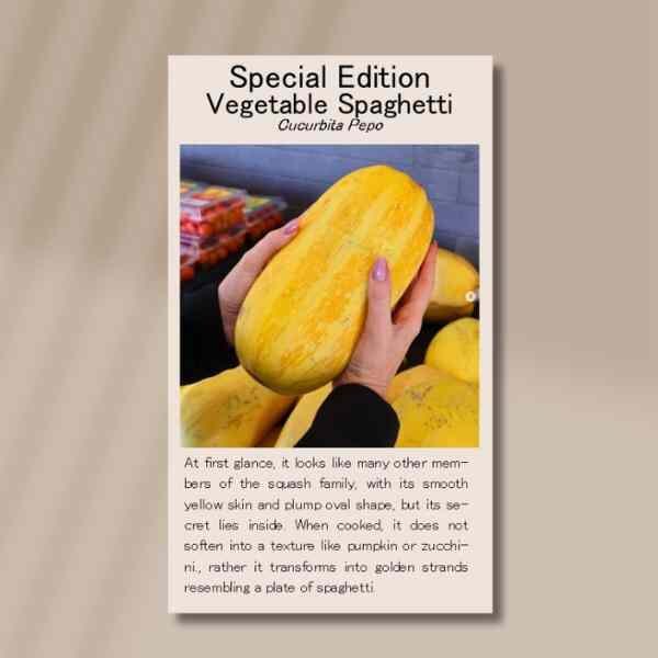 vegetable-spagehtti-front vegetable-spagehtti-front
