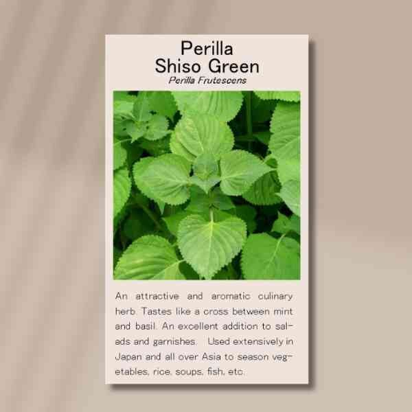 perilla-front perilla-front