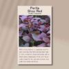 Perilla shiso red seeds 4
