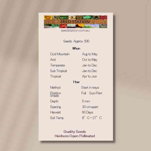 red-oakleaf-back red-oakleaf-back