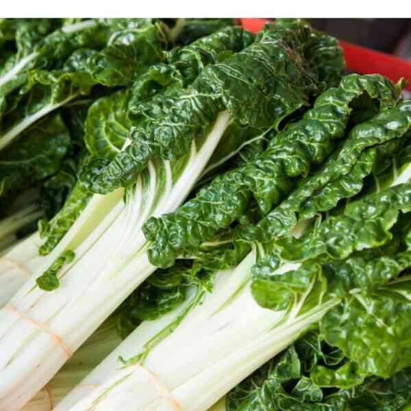 silverbeet-fordhook-giant-seeds-4 silverbeet-fordhook-giant-seeds-4
