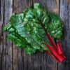 silverbeet-ruby-red-seeds-1