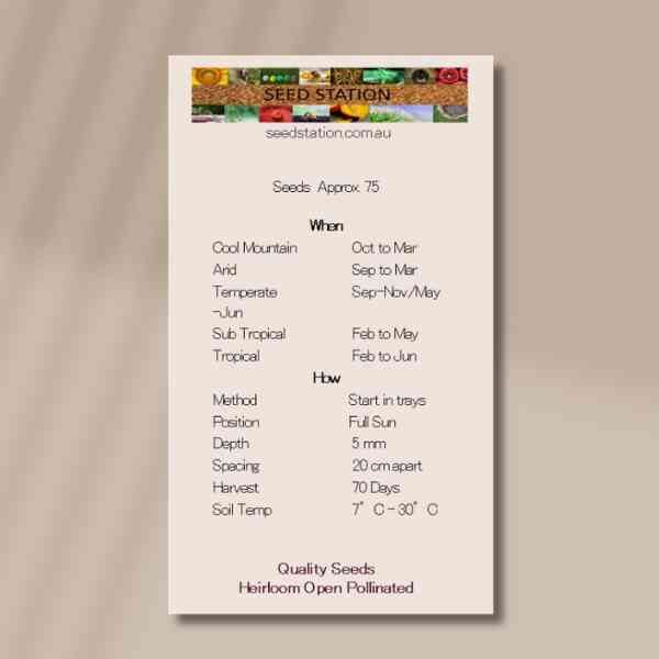 broccoli-kailaan-back broccoli-kailaan-back