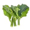 broccoli-kailaan-seeds-2