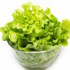 lettuce-salad-bowl-green-seeds-3